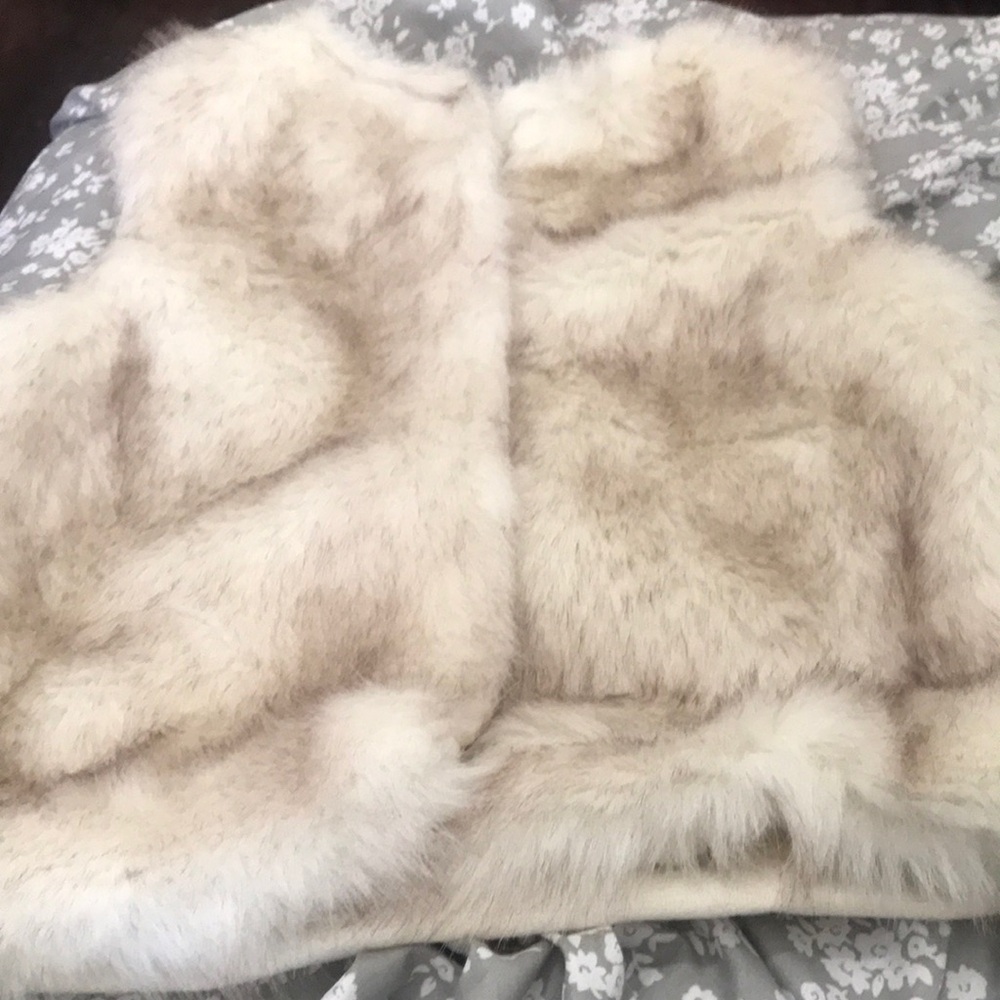 Fur vest
